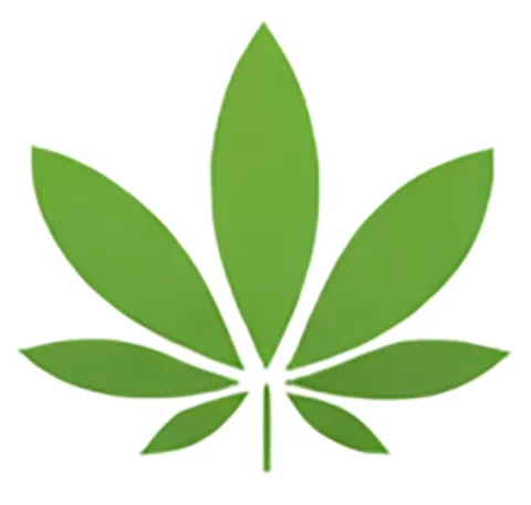 Logo cannaxpress (Palmen Apotheke-Brückenhof, Kassel)